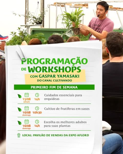 Quer aprender a cuidar melhor das suas flores e plantas em casa? Então já salva essa dica!