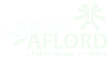 A Associação dos Floricultores da Região da Via Dutra — AFLORD —